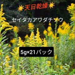 カット済み パック入り セイタカアワダチソウ  天日干し 天然素材 入浴剤のサムネイル