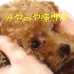 みやみや様専用ページ＊のサムネイル
