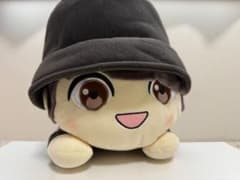 TinyTAN Jung Kook 봉제인형 잠 썰매