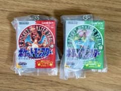 ポケモンパッケージ＆カートリッジキーホルダー　1996-2002 赤緑2個セットのサムネイル