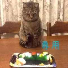 れいなさん専用 涼しげブラウスのサムネイル