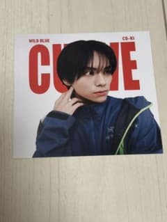 WILD BLUE CURVE 山下幸輝ソロジャケットのサムネイル