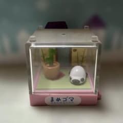 まめゴマリウム ミニチュア フィギュア 本体 サンエックス あざら