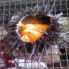 水蟹 ひろふみ様専用のサムネイル