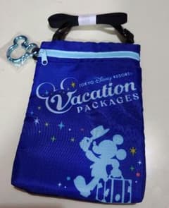 ディズニー チケットホルダー バケパ【非売品】のサムネイル