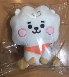 공식 BT21 BASIC 베이비 봉제인형 M사이즈 RJ