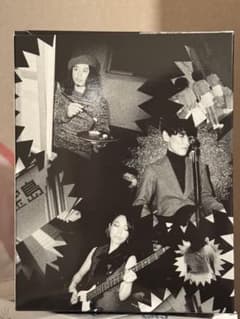 未開封　sakanaction 新宝島 スノードーム　グッズのサムネイル