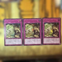 遊戯王 トラップトリック シークレット3枚 BETB 絵違い イラスト違い蟲