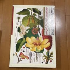 原色精密 日本森林樹木図譜 日本竹類図譜付　大型本 初版本 原色精密 日本森林樹木図譜 日本竹類図譜付 大型本 初版本 - メルカリ