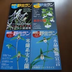 自然と野生ラン 2010年 9月号〜12月号 4冊セットのサムネイル