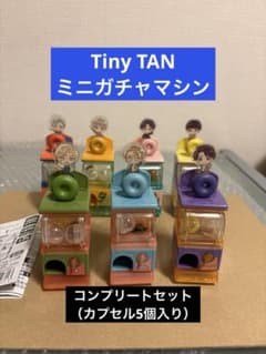 루*루님 BTS Tiny TAN 미니 미니 뽑기 머신 컴플리트 세트