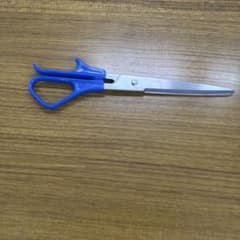 DELICALION STAINLESS NO.150 はさみ - メルカリ