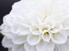 刀剣乱舞❁めんぐ様 専用❁のサムネイル