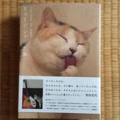 ミュージシャンと猫のサムネイル