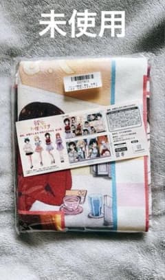 그녀, 빌리겠습니다 빌리겠습니다 대형 타월