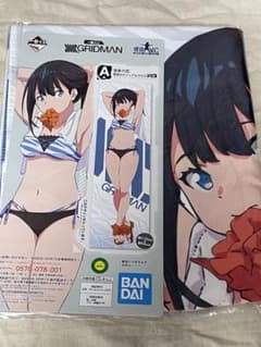 SSSS.GRIDMAN A상 다카타 롯카 등신대 비주얼 크로스