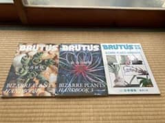 雑誌 BRUTUS 【 珍奇植物 】 3冊セット ビザールプランツハンドブック