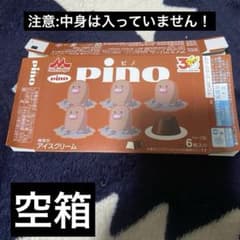 피노 포켓몬 패키지 디그다 (빈 상자)