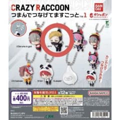 CRAZY RACCOON つまんでつなげてますこっと YYのサムネイル
