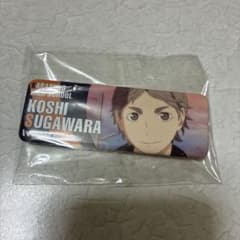 難あり ハイキュー 菅原孝支 ロングカンバッジ 缶バッジ - メルカリ