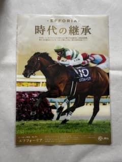 非売品】JRAヒーロー列伝クリアファイル エフフォーリア - メルカリ