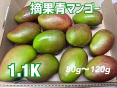 摘果青マンゴー1.1キロ（80g〜120g）コンパクトBOX - メルカリ