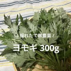 【新潟県産無農薬】ヨモギ 300ｇのサムネイル