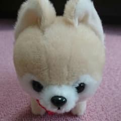 値下 柴犬ぬいぐるみのサムネイル