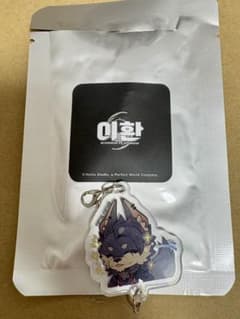 NTE 韓国　公式品　PCバカンス　ポップアップ　限定　アクリルチャーム　翳