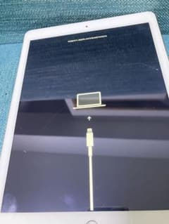 専用！のサムネイル