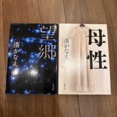 湊かなえ 望郷 母性　文庫本 2冊セットのサムネイル