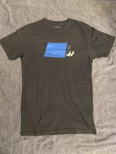 パタゴニア Tシャツのサムネイル
