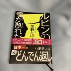 ルビンの壺が割れた 宿野かほるのサムネイル