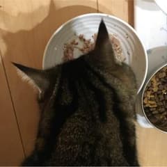 JUNJUN様専用のサムネイル