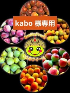 和歌山県産　完熟南高梅‼️L〜２L混合‼️kabo ♥️10kg 和歌山県産 完熟南高梅‼️L〜2L混合‼️kabo 様専用♥️10kg - メルカリ