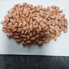 ら*ね様 オオマサリ生落花生のサムネイル