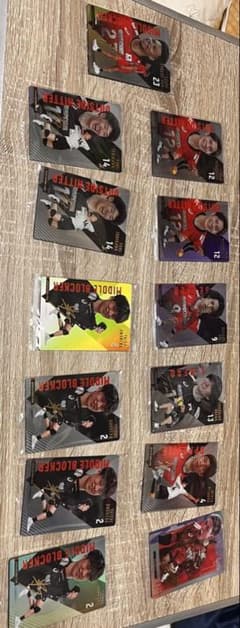 バレーボール 日本代表 トレーディングカード まとめ売り 12枚セットのサムネイル