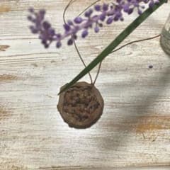 花結び山葡萄皮五角形ペンダントorブローチのサムネイル