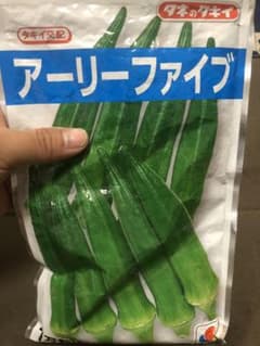 オクラ　種のサムネイル