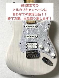 FUJIGEN(FGN) NST11MAH-WB フジゲン 富士弦 - メルカリ