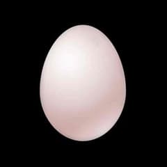 本田世界No.1さん専用のサムネイル