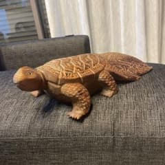骨董品？龍龟、凤龟？ - メルカリ