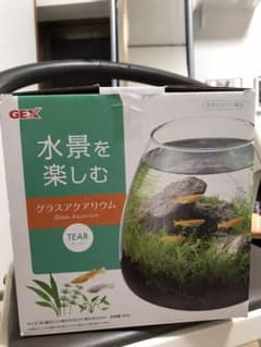 ガラスアクアリウムのサムネイル