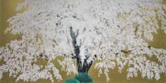 中島千波 【天龍寺の枝垂桜】 金バック リトグラフ 中島千波 【天龍寺の枝垂桜】 金バック リトグラフ - メルカリ
