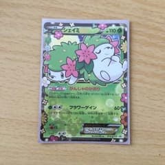 ポケモンカード シェイミのみのサムネイル