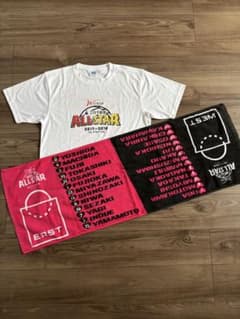 Wリーグ ALL STAR 2017-2018 Tシャツ&タオルのサムネイル
