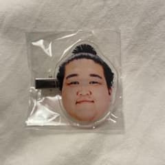 大相撲ガチャ ヘアピン 豪ノ山のサムネイル