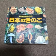 日本のきのこのサムネイル