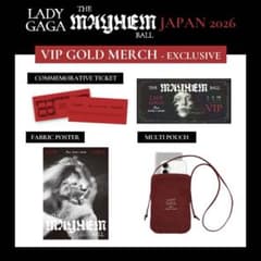 LADY GAGA VIP GOLD グッズ フルセット ゴールド - メルカリ