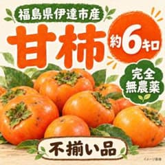 福島県伊達市産 完全無農薬 甘柿 約6kg 不揃い品のサムネイル